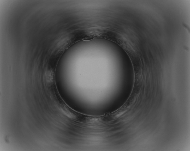 X0000093480081200710121454