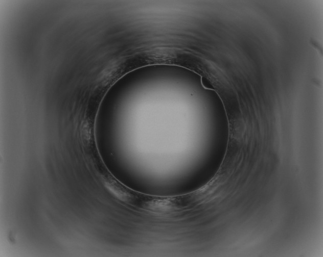 X0000093480086200710121454