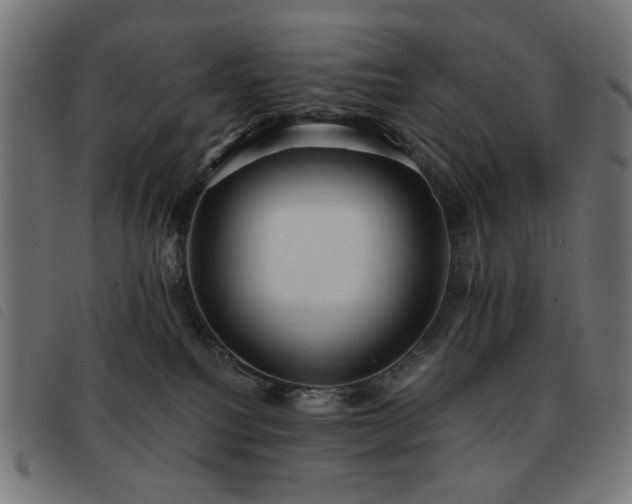 X0000093480088200710121455