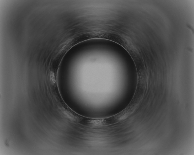 X0000093480089200710121455