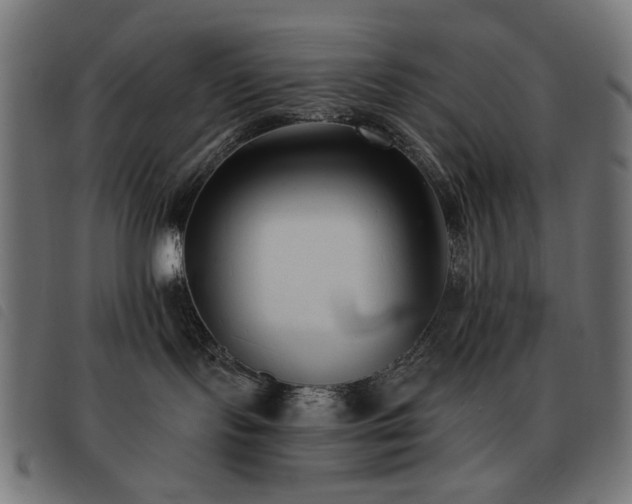 X0000093480095200710121455