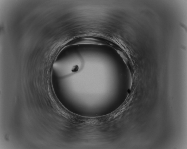 X0000093480097200710121454