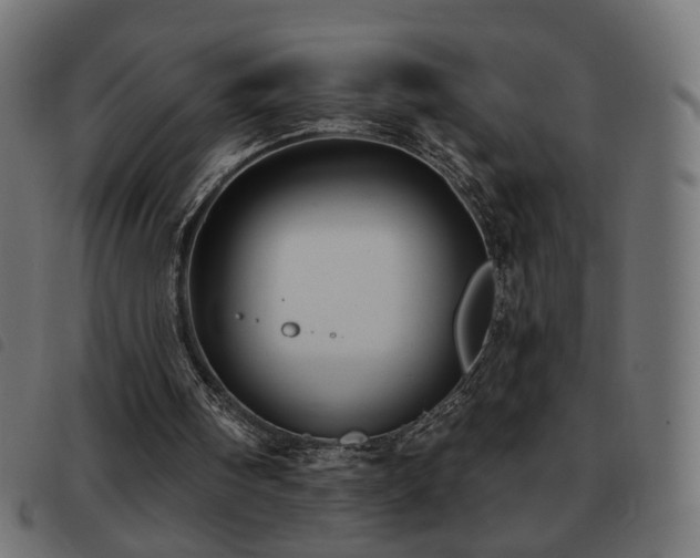 X0000093480098200710121454