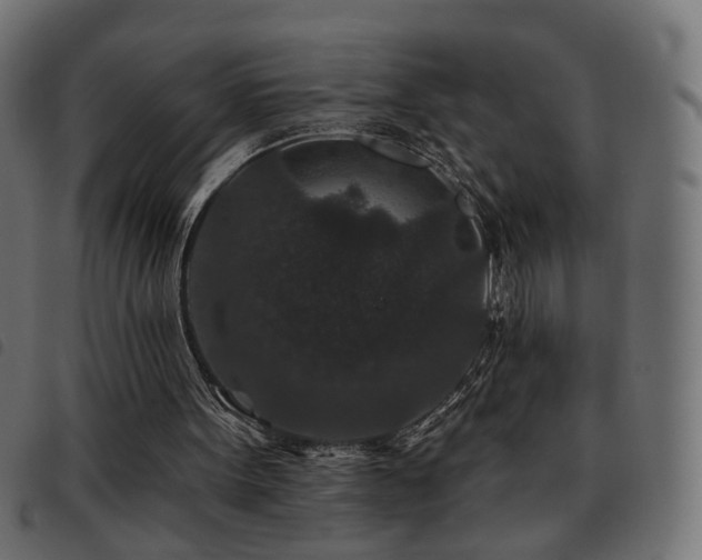 X0000093480099200710121454