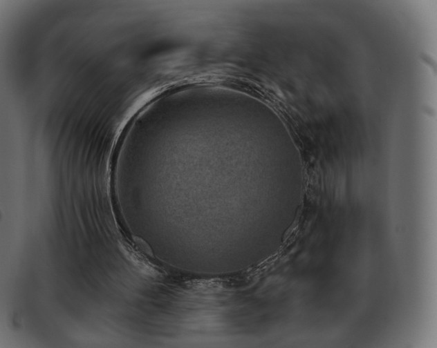X0000093480100200710121454
