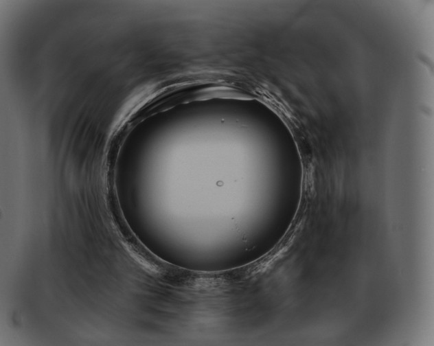 X0000093480101200710121454