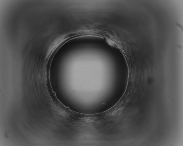 X0000093480103200710121454