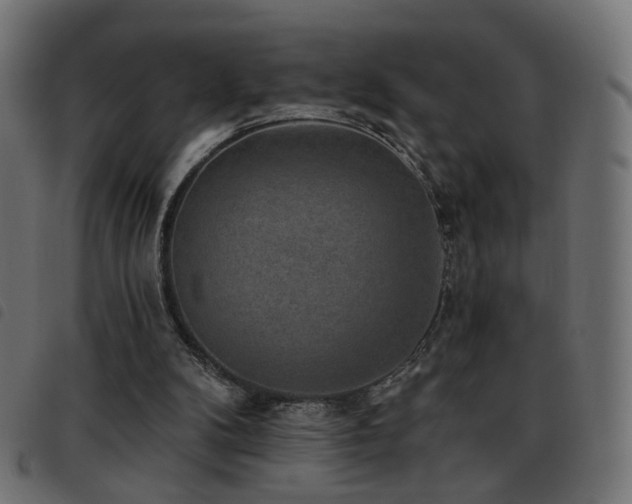X0000093480104200710121454