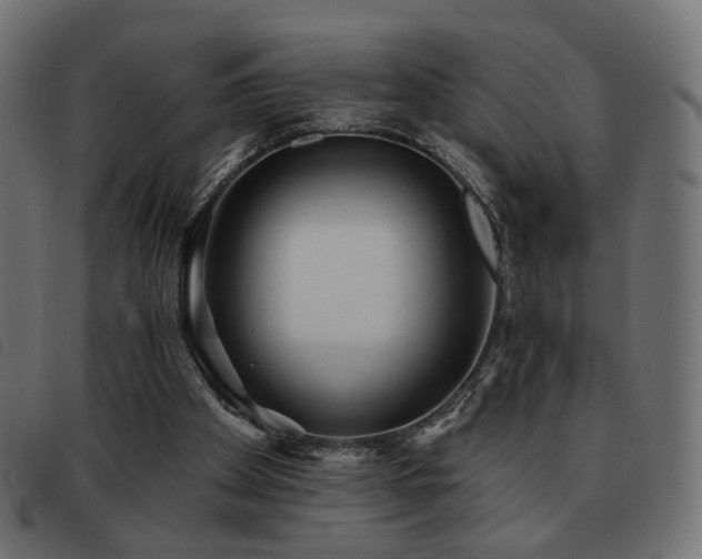X0000093480105200710121454
