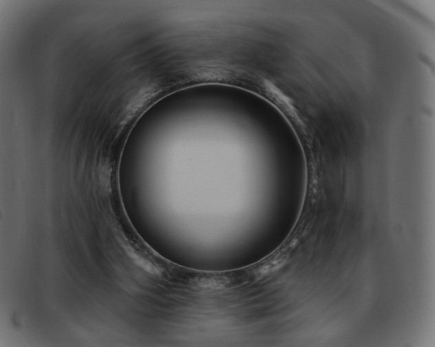 X0000093480106200710121454