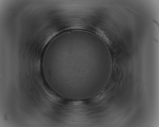 X0000093480108200710121454