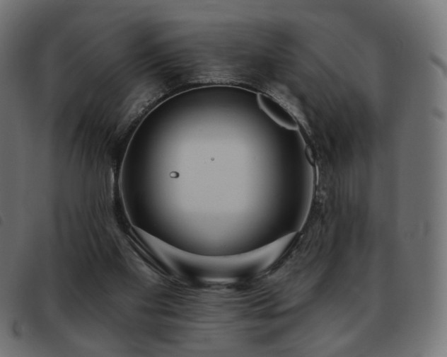 X0000093480109200710121454