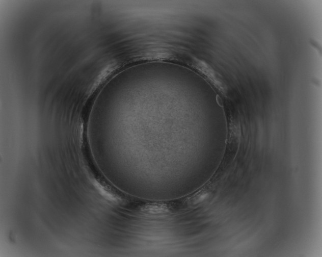 X0000093480110200710121454