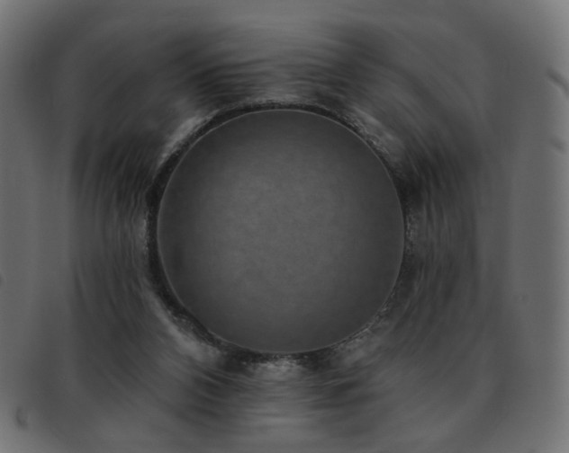 X0000093480112200710121454
