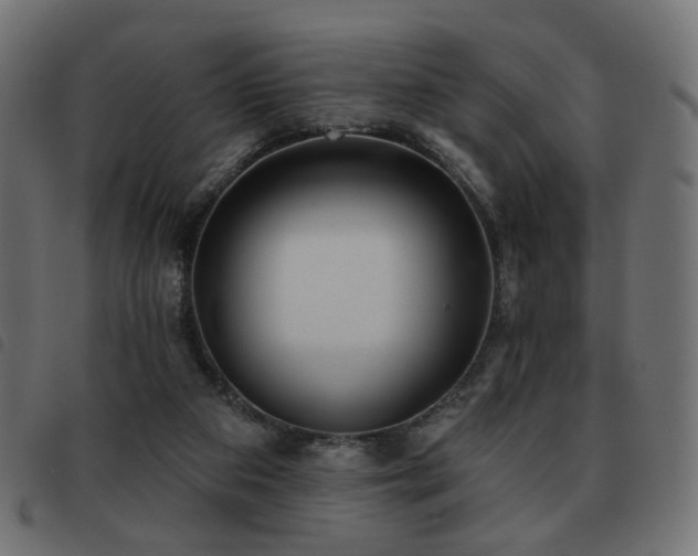 X0000093480113200710121454