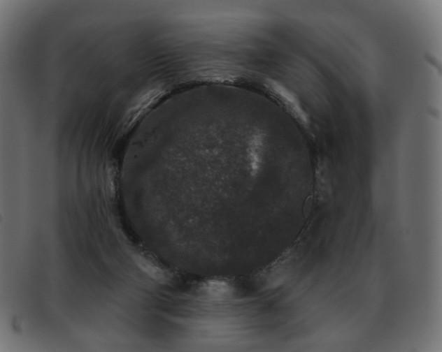 X0000093480114200710121454