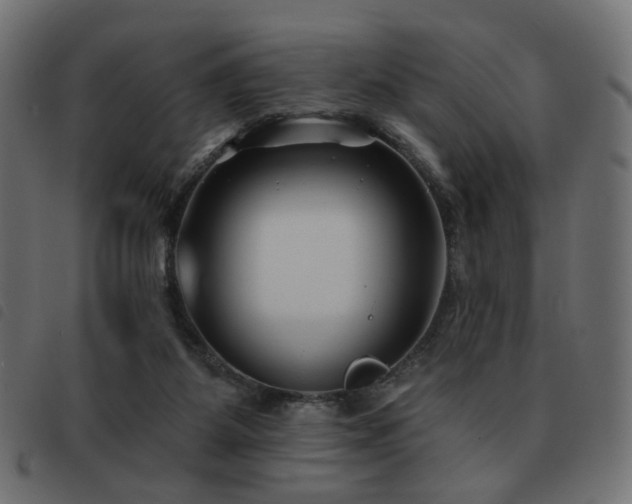 X0000093480115200710121454