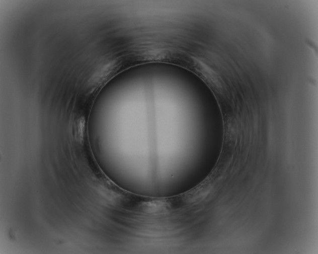 X0000093480118200710121454
