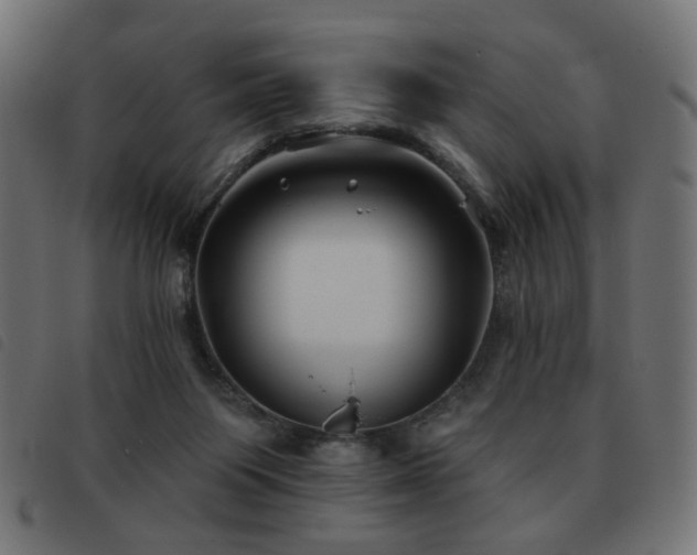 X0000093480119200710121454