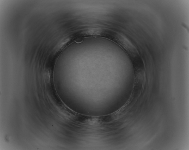 X0000093480120200710121454