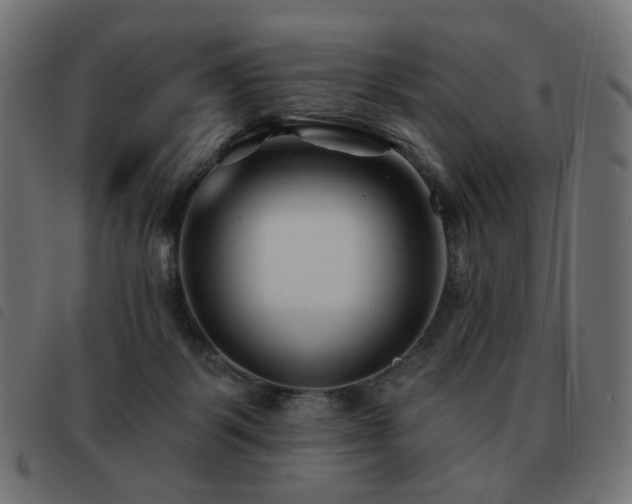 X0000093480123200710121454