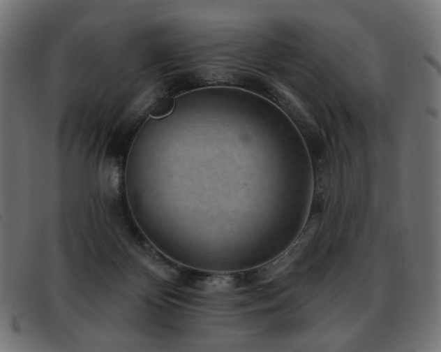 X0000093480124200710121454