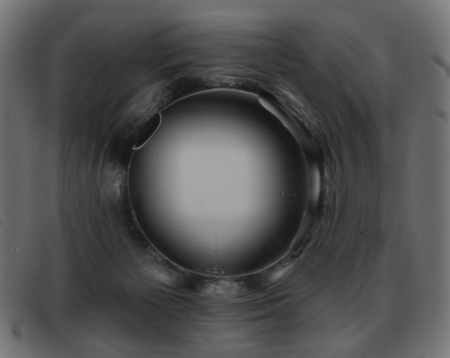 X0000093480125200710121454