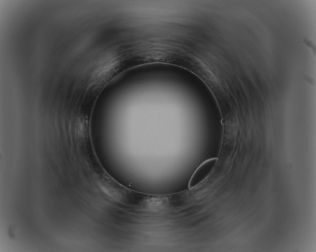 X0000093480126200710121454
