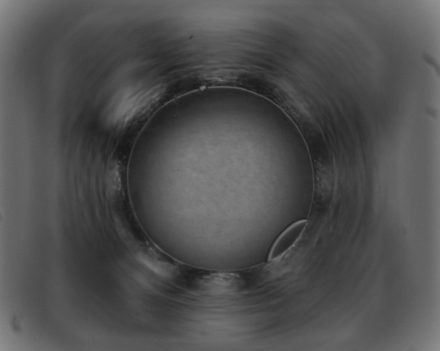 X0000093480128200710121454