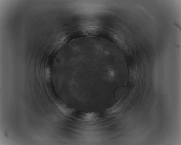 X0000093480130200710121454