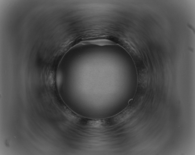 X0000093480131200710121453