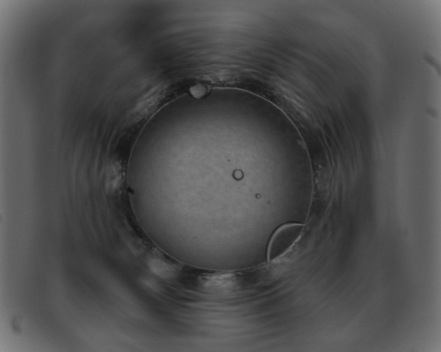 X0000093480132200710121453