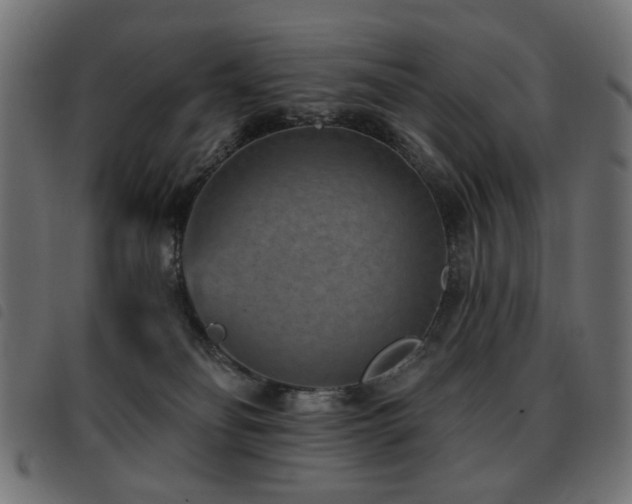 X0000093480134200710121453