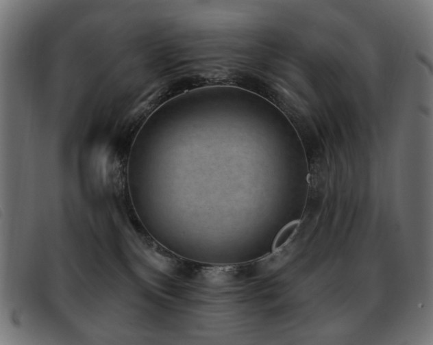 X0000093480136200710121453