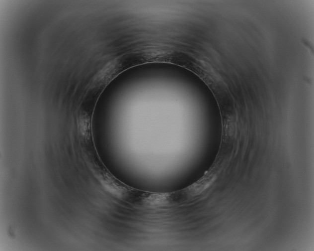 X0000093480138200710121453
