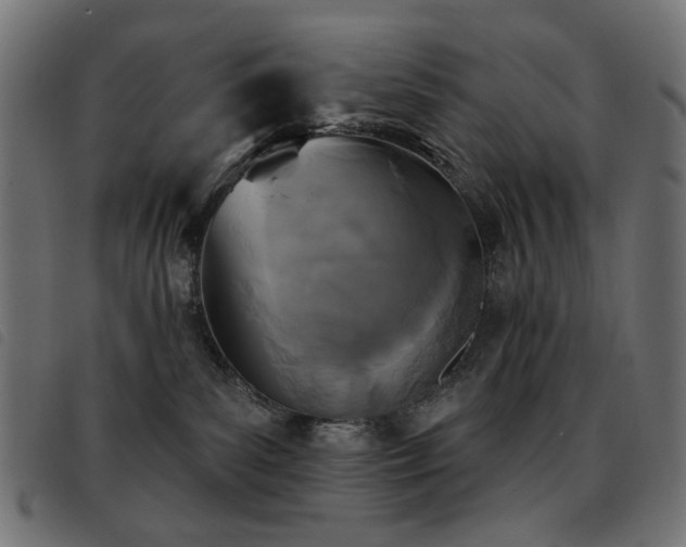 X0000093480139200710121453