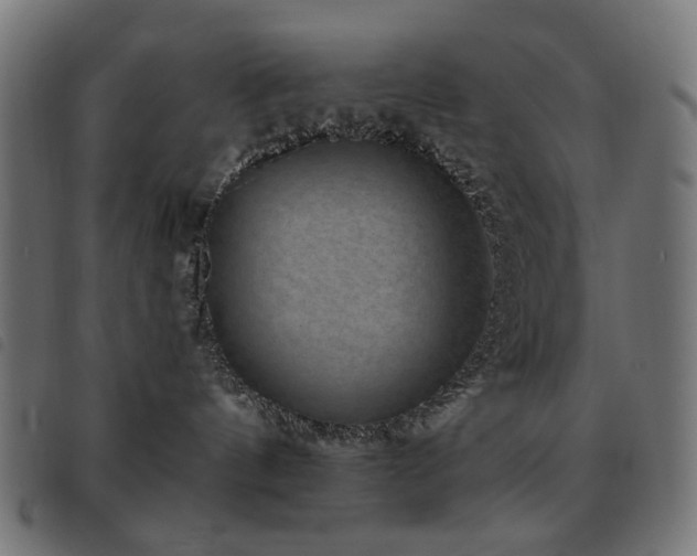 X0000093480144200710121453