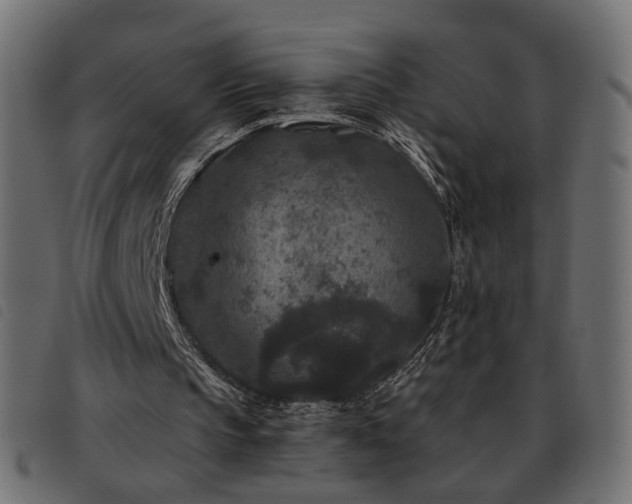 X0000093480145200710121453
