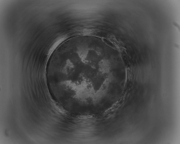 X0000093480147200710121453