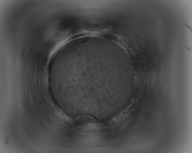 X0000093480149200710121453