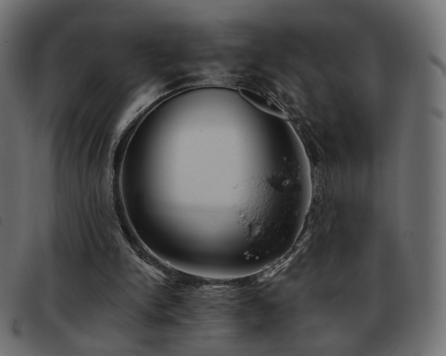 X0000093480150200710121453