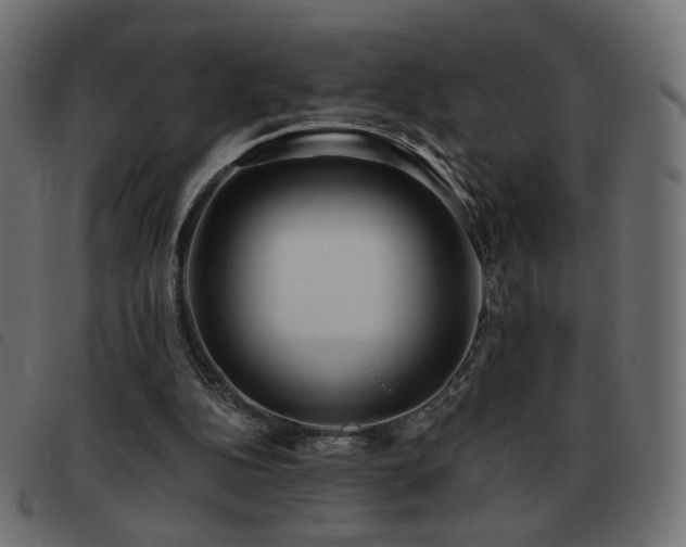 X0000093480152200710121453