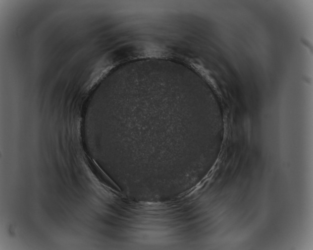 X0000093480154200710121453