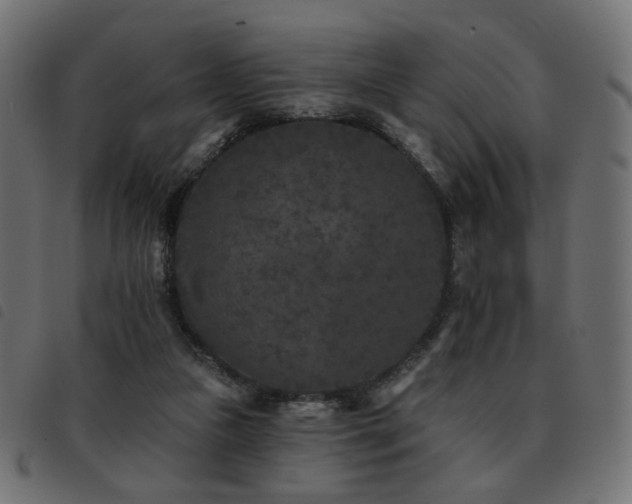 X0000093480161200710121453