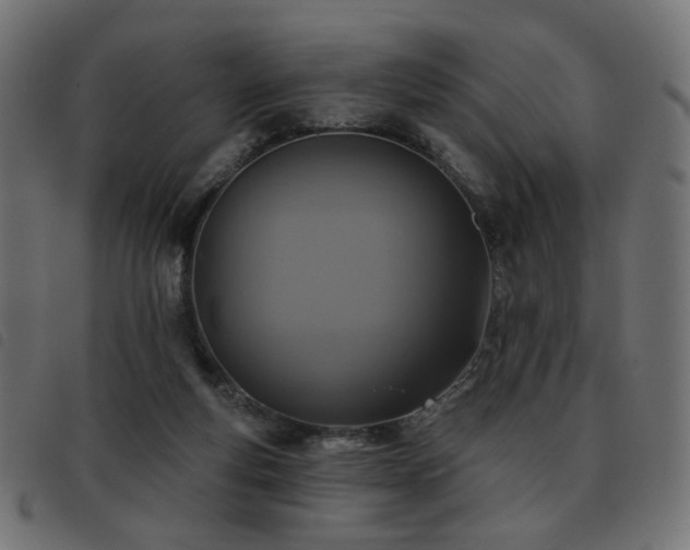 X0000093480163200710121453