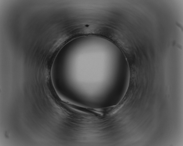X0000093480164200710121453