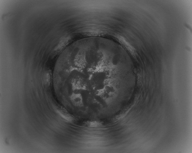 X0000093480165200710121453