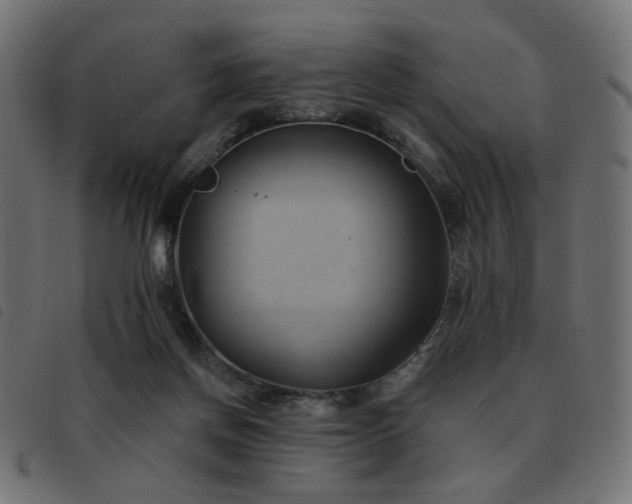 X0000093480166200710121453