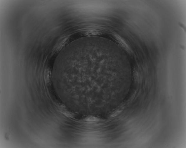 X0000093480169200710121453