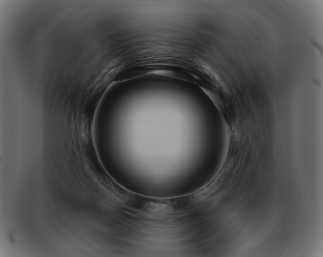 X0000093480170200710121453